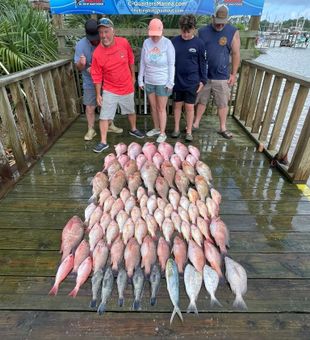 Amazing mixed bag from Carrabelle FL waters!