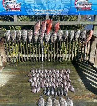 Outstanding red grouper and sheepshead haul in Carrabelle!