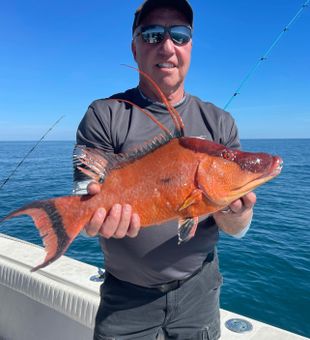 Catch your limit with Renegade Charters!