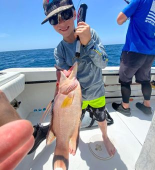 Gulf Coast bites never miss