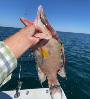 Saltwater serenity, Carrabelle style.
