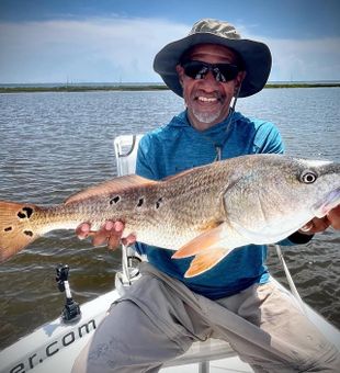 Scenic coastal fishing near Gulf Breeze with clear waters and abundant marine life.
