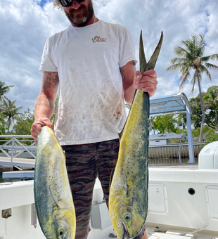 Boynton Beach fishing mahi mahi catch