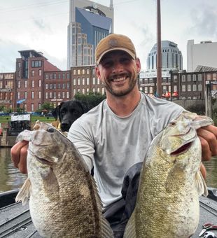 Nashville never disappoints.