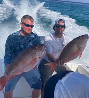 Northern Red Snapper