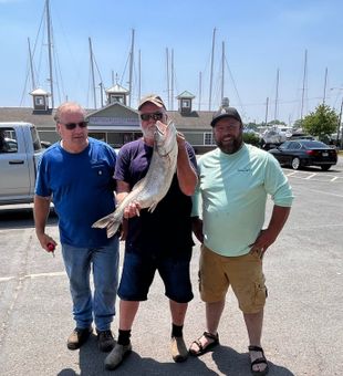 Lake Champlain Trout Scout Charters