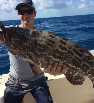 Fishing Grouper in Florida 2023