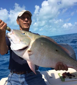 Sharing this Snapper trophy! Fishing in Florida 