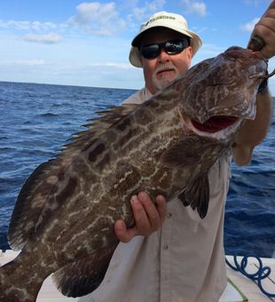 Look at this Grouper! Caught in Marathon, FL