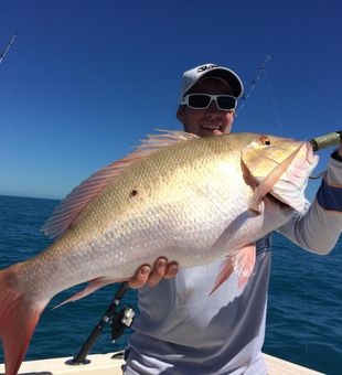 Massive Snapper fish caught in Florida keys today!