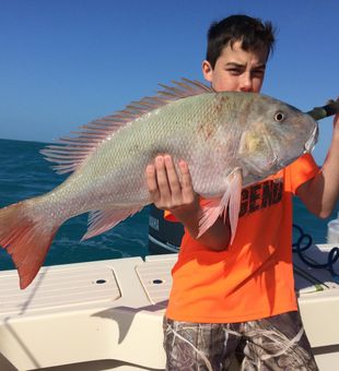 Snapper Run 2023 in Florida Keys!