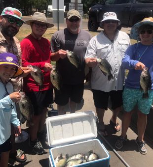 Toledo Bend Fishing Guides Haul