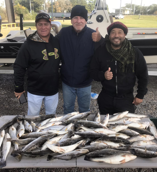 Best Toledo Bend Bass Fishing