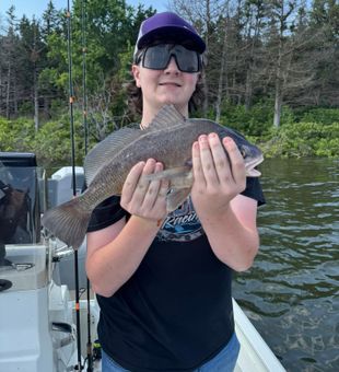 Nice freshwater drum from Sand Springs Oklahoma waters!