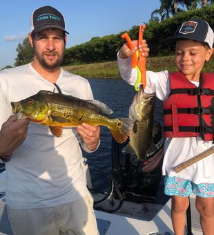 Vibrant duo – Peacock & chunky Largemouth!