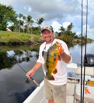 Beautiful peacock bass from Delray Beach waters!