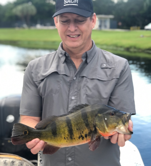 Nice peacock bass on fly tackle! Light tackle drift fishing produced this exciting catch.