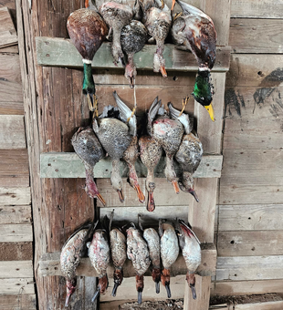 Exciting Catches In Arkansas