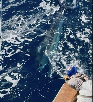 Offshore fishing thrills in Ocean Citye