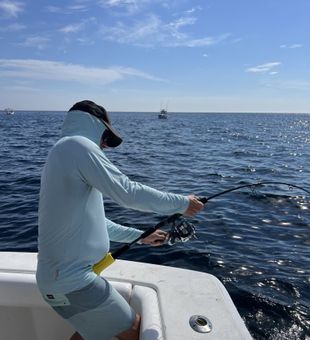 Powerful offshore tuna fight action