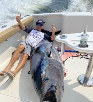 Massive bluefin tuna offshore catch