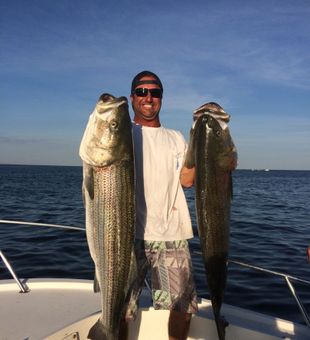 Heavy striped bass double catch offshore