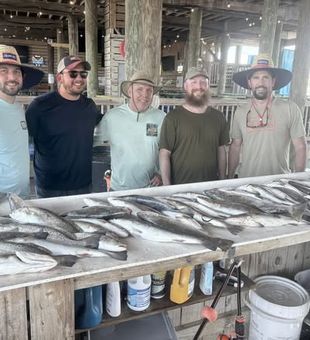 The backwaters of Bay St. Louis are calling—book your next inshore fishing adventure today.