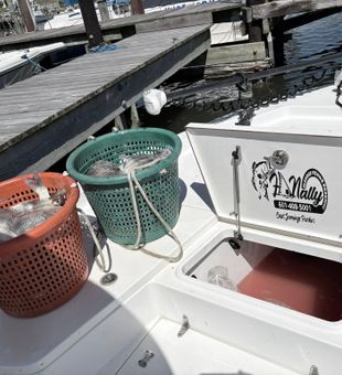 Fresh catch ready for the cooler in Bay St. Louis!