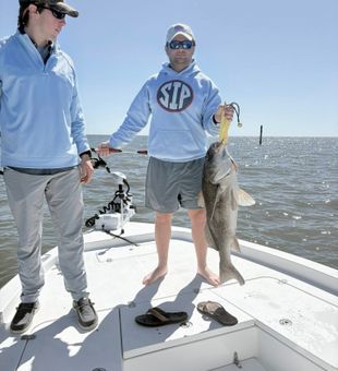 Nice black drum from Bay St. Louis waters!