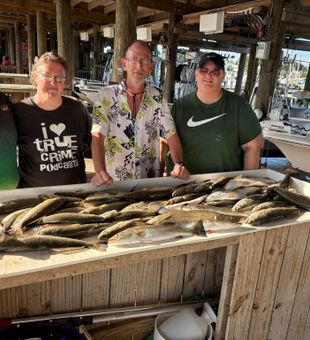 Inshore action in coastal Mississippi