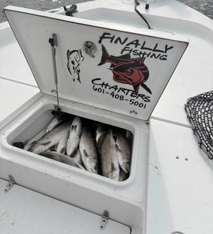 Find out why anglers return to Bay St. Louis year after year for incredible inshore fishing action.