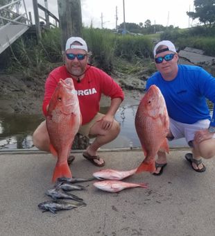 Solid Red Snapper dockside ⚓🐟