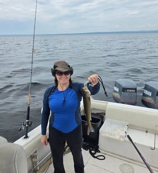 Every cast brings a new opportunity to enjoy the outdoors on a relaxing freshwater fishing trip in Harmony, ME.
