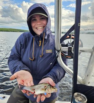 Cast your cares away.