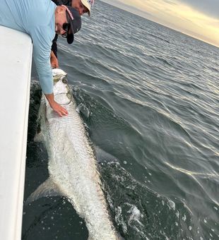 Tampa Bay Fishing Charters