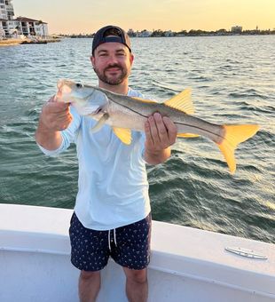 Snook Fishing St. Petersburg 