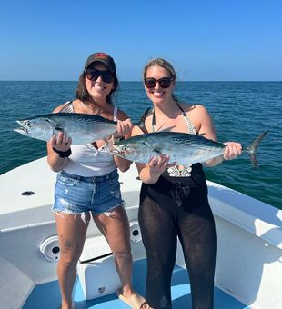 Bonito Fishing In Florida