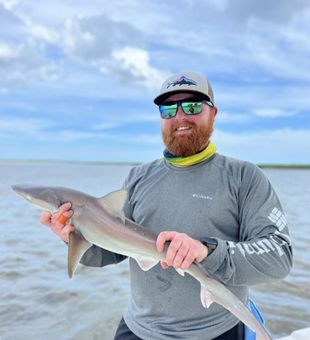 Solid Shark Catch