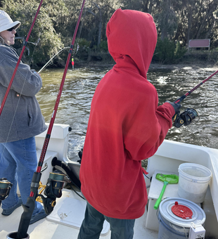 Clear skies perfect for deep sea light tackle adventures!