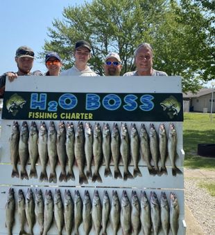 Lake Erie Walleye Limit Success with H2oboss Charters