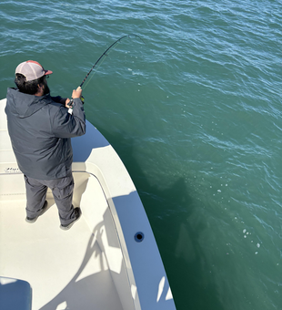 Great day on the water at Cape Pointe Marina with clear conditions - rod's bent and ready for action!