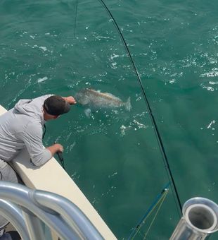 Landing “BigUgly” Black Drum on Fly ~