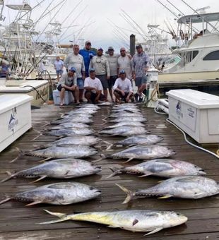 Knot Tell'n Fishing charters