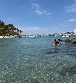 Discover Lake Park's pristine snorkeling waters today!