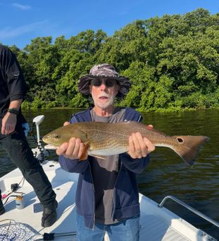 Strong Redfish for this Tarpon Springs angler