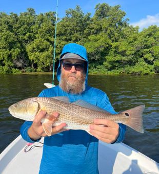 Another great Redfish from Tarpon Springs