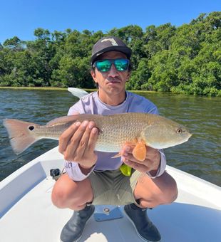 Redfish success in Tarpon Springs