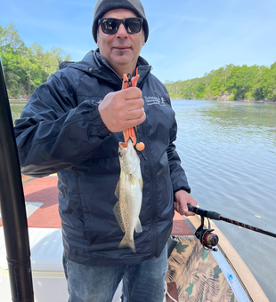 Panama City speckled trout caught on light tackle!