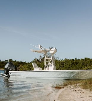 Perfect day fishing inshore waters in NC charters