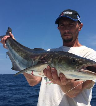 Cobia Quest in Florida